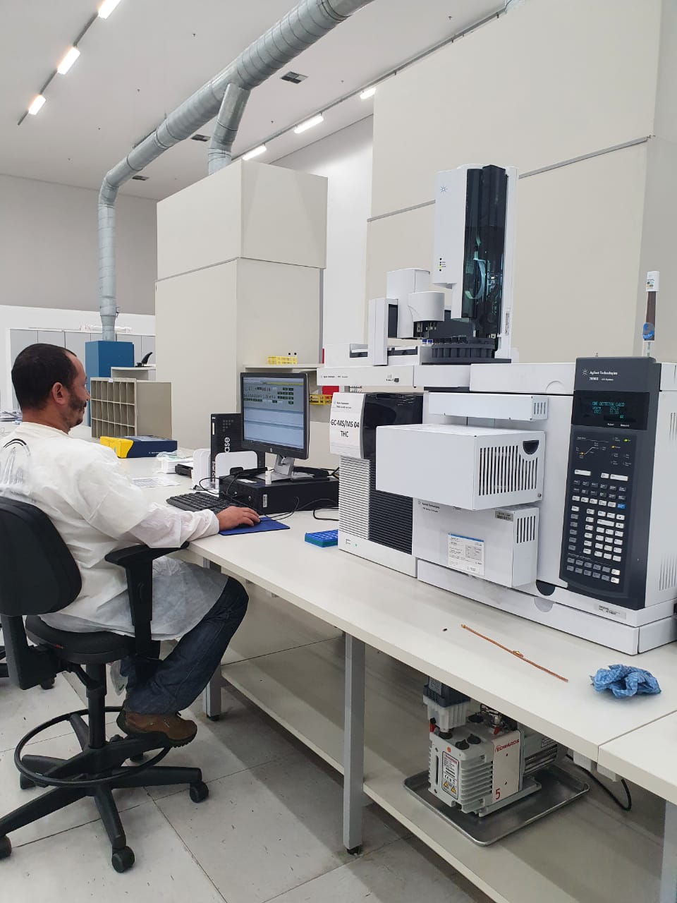 Especialista de Suporte